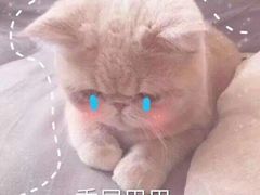 -甜心闲生传统手工冰粉(奎星楼店)