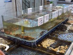 -天盛海鲜烧烤大排档·本地小海鲜·牟平腿穗子(幸福店)