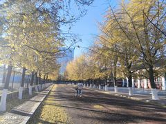 -辽宁大学(崇山校区)