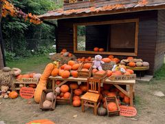 -HERRE·FARM 赫尔露营农场·团建聚会包场