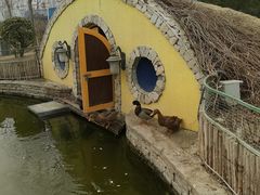 -南宫五洲植物乐园