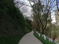 -重庆彩云湖湿地公园