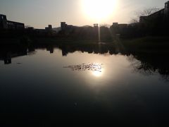 IMG20140404008-江南大学(蠡湖校区)