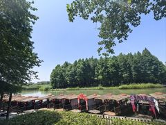 -溱湖国家湿地公园