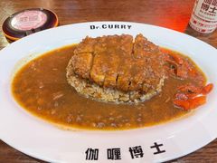 -伽喱博士 Dr.CURRY咖喱饭(太阳宫咖喱店)