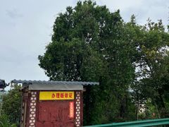 -照金香山旅游景区