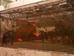 一面鱼墙-龙凤山庄(永定镇店)