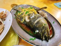 清蒸石斑鱼-板桥海鲜广场(文明东店)