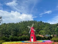 -广州白江湖森林公园