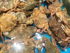 -SEA西雅图海鲜自助餐厅(海乐世界店)