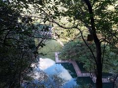 -祁门牯牛降观音堂风景区