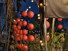 -三圣花乡旅游区