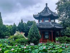 -莲池书院博物馆
