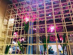 -椰贝原味椰子鸡(高新万达店)