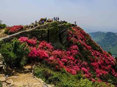 -木兰云雾山