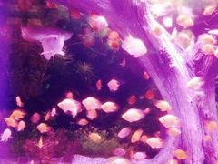 -常州海昌海洋探索馆