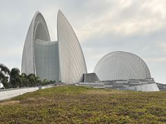 -野狸岛