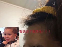 -Z.F私人订制