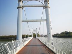 -塘沽森林公园