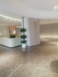 -广州美莱医疗美容医院