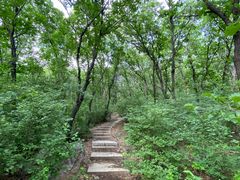 -沈阳辉山风景区