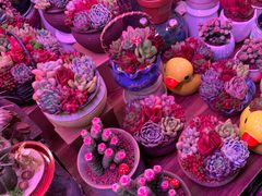 -三旗百汇商品城