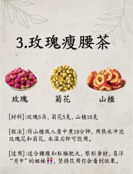 -Fundi张玉珊修身堂·indiba·BTL科技瘦身