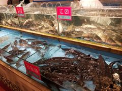 水产区-饭怕鱼(阳光100店)