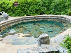 -中家鑫园温泉酒店鑫悦汤泉