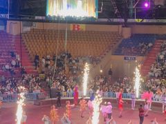 -俄罗斯国家大马戏团