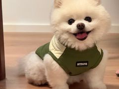 -中农大我爱我爱24h动物医院·中医针灸·猫专科·骨科医疗中心(双井店)