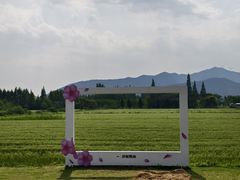 -长田漾湿地公园