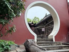 -长春观