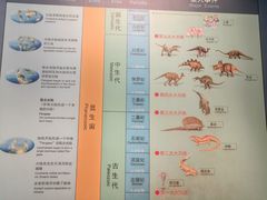 -湖南省地质博物馆