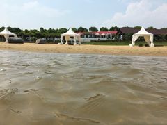 -碧海金沙