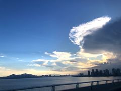 -厦门园林博览苑