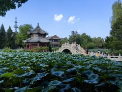 -莲池书院博物馆