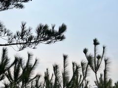 -千岛湖-欢乐水世界