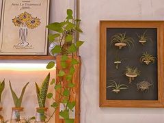 -绿小院(荔湾店)