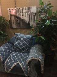 -归真美学颜究中心