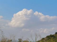 -海南铜鼓岭景区
