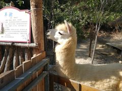 -汕尾铜鼎山旅游区