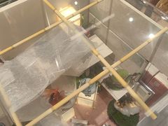 -泡泡玛特POPMART(北国先天下店)