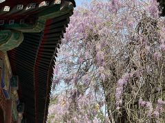 -北京市劳动人民文化宫