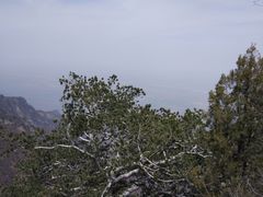 -少华山国家森林公园