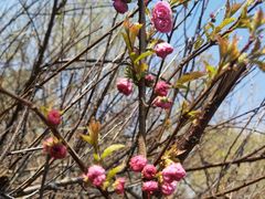 -长春市南湖公园