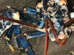 -Le Bistrot de Racine