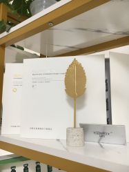 -凡碧诗毛孔收细