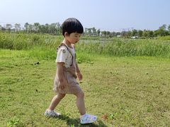 -春花秋色城市公园