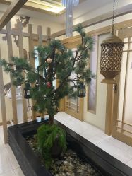 -芳朵美容养生SPA